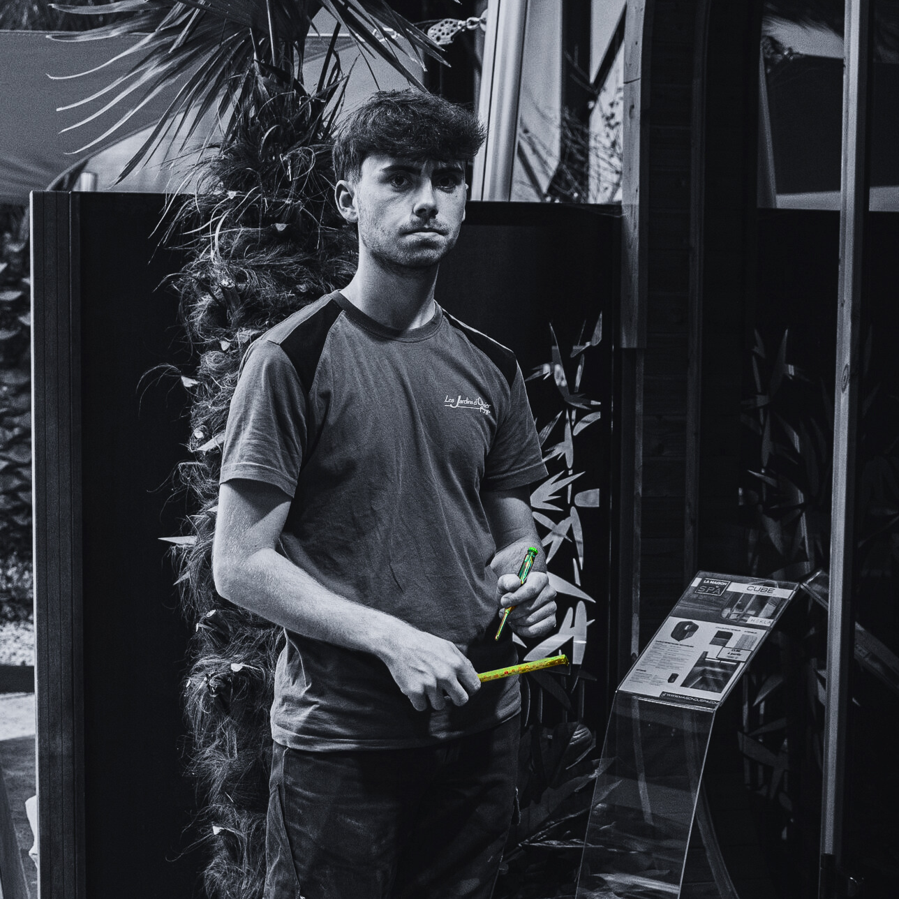 anzo--nq9m4p.png